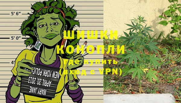 прущие крисы Алзамай