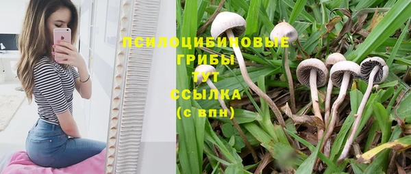прущие крисы Алзамай