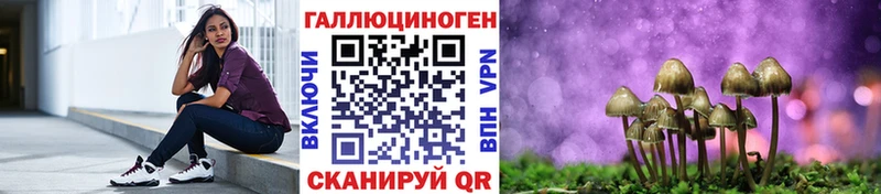Псилоцибиновые грибы мицелий  Шатура 